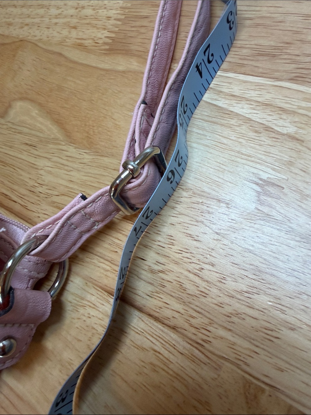 Rosetti Light Pink Crossbody Bag with Front Zip Pocket - Picture 10 of 10